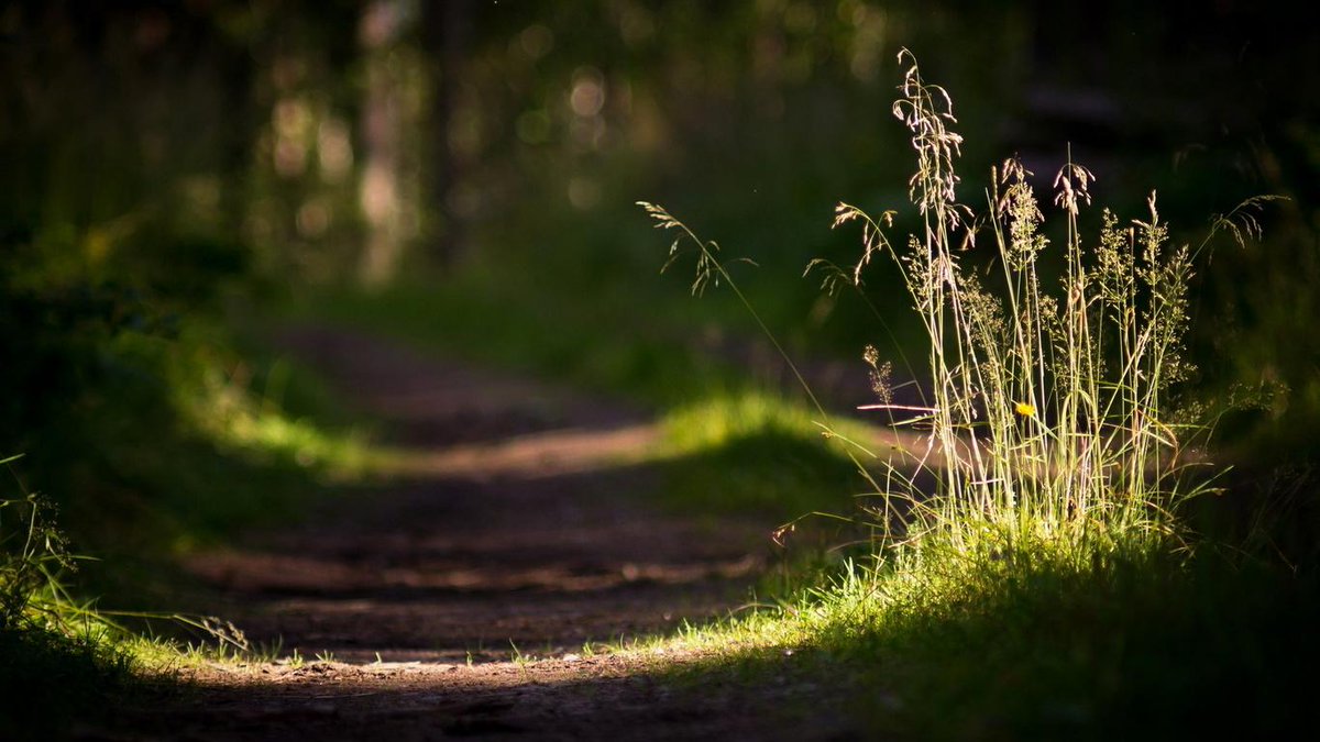 #баннерная реклама кабеля twiza.ru