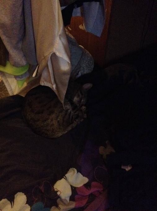 JJPR11's tweet image. It looks like LB is very tied