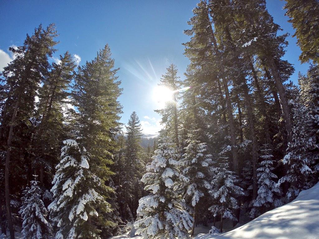 lindseyvonn's tweet image. Good morning #Bansko :) #Bulgaria #lifeontheroad #lovemyjob