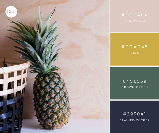 canva's tweet photo. Piña Colors! Try this fresh and sophisticated palette in your designs. 1:#DECAC4 2: #CDAD45 3: #CDAD45 4: #293041 http://t.co/JrmOjpck76