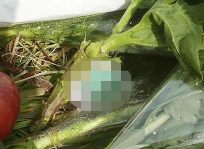 The_SCOOP_info's tweet image. 【悲報】上村遼太くんの事件現場の献花台がひどい

【詳細を確認】⇒bit.ly/1Fw40LF

遺体発見現場の河川敷にはたくさんの花束とバスケットボールが置かれている。その中に紛れて、たばこに●●●●●まであった。