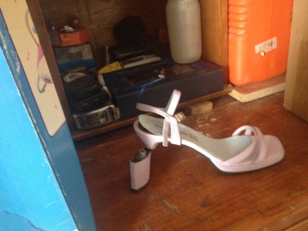 ZMultiusos's tweet image. 