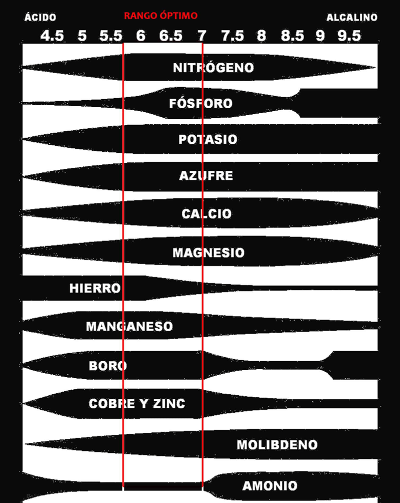 wikinnabis's tweet photo. Tenéis algún problema con el #cannabis? #Wikinnabis es tu amigo @raroweed @cannabisinfo_es @revistacanamo @cattii_ce http://t.co/z2ZgRM3DKd