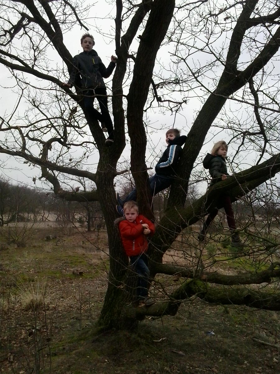 Heerlijke wandeling gemaakt in Loonse en Drunense duinen.Ondanks een drup regen toch genoten.