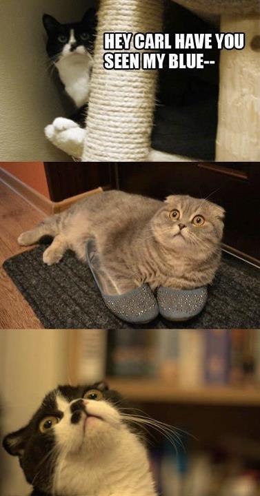Daniela_6kr's tweet photo. Dont worry about anything. Worrying never solved anything. All it does is distort your mind. http://t.co/IRjJVYVQv2