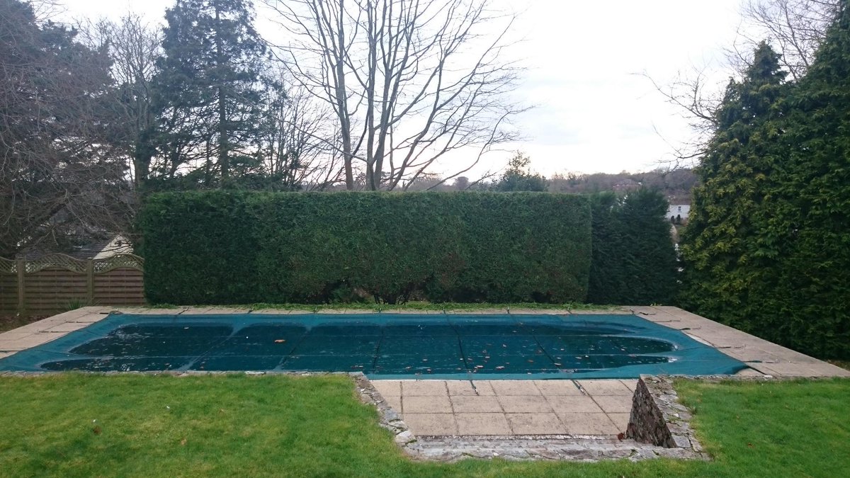 teigntrees's tweet image. Bird Nesting season is nearly here @Natures_Voice @DevonWildlife Book your trim now 01626 773499 #hedgetrim #nesting