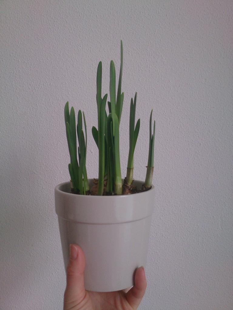 delachendevis's tweet photo. Met de lente en de zomer voor de deur zijn wij op zoek naar versterking in ons keukenteam! https://t.co/WVftlFEH2A http://t.co/ojU9O7uLXQ