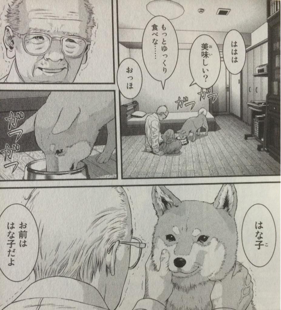 のの Auf Twitter いぬやしき読んでてこの漫画好きだなって思うポイントが柴犬と散歩に行ったり猫の親子を見たり弱者を救うことで幸せを感じる いぬやしきの姿だったんだけど3巻はそれもなかったからなあ 3巻の結末がイブニング最新号で見れるのは良かっためでたし Http