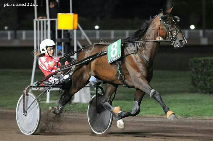 <a href="/JessicaPompaJP/">Jessica Pompa</a>&amp;NADIRA
@IppodromoMontecatini
@Corsadellestelle