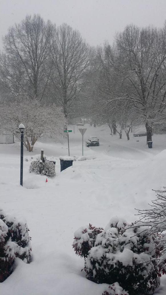 NaturallyFlo's tweet image. So over all this snow @TuckerFox5 from Upper Marlboro, MD