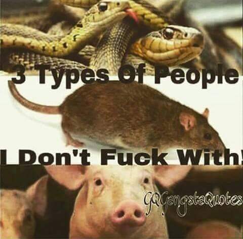 KitchenMarcel's tweet image. Right!!!