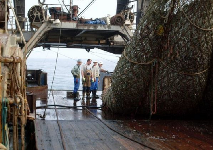 OMGgalleries's tweet photo. These Fisherman Did Not Expect To Catch This! http://t.co/3ekOXAhzsE http://t.co/rhUjgkn4Uz