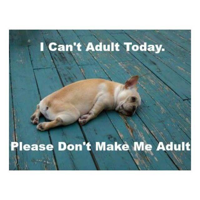 fly_brii's tweet image. @TMilio #pleasedontmakeme