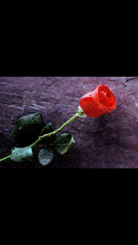 Life2011The's tweet image. 