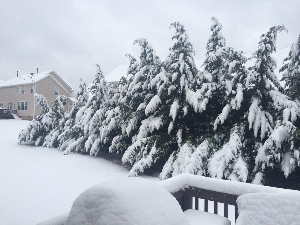 trinityagregor's tweet image. @TheMcClaneShow @MyDude21 total white out! Thank god for #netflix #stillhavepower