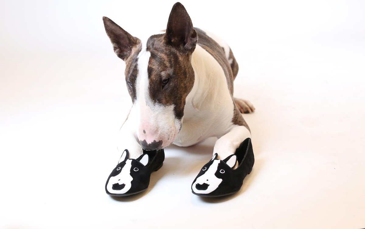 marc jacobs dog shoes