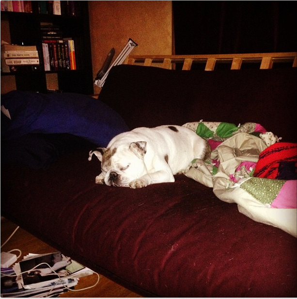muliebris's tweet image. #PitchMadness #WritingCompanion
This is her in noisy mode: