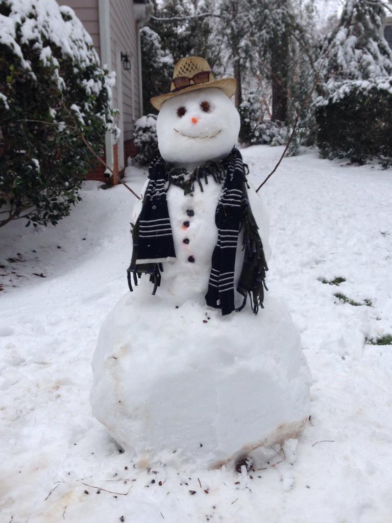 sfshapiro's tweet image. #ABC11Eyewitness 
#unpluggedfun