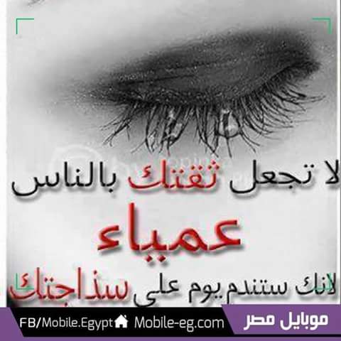 Ekramy Faragali (@0ed47e3b4fc546f) on Twitter photo 