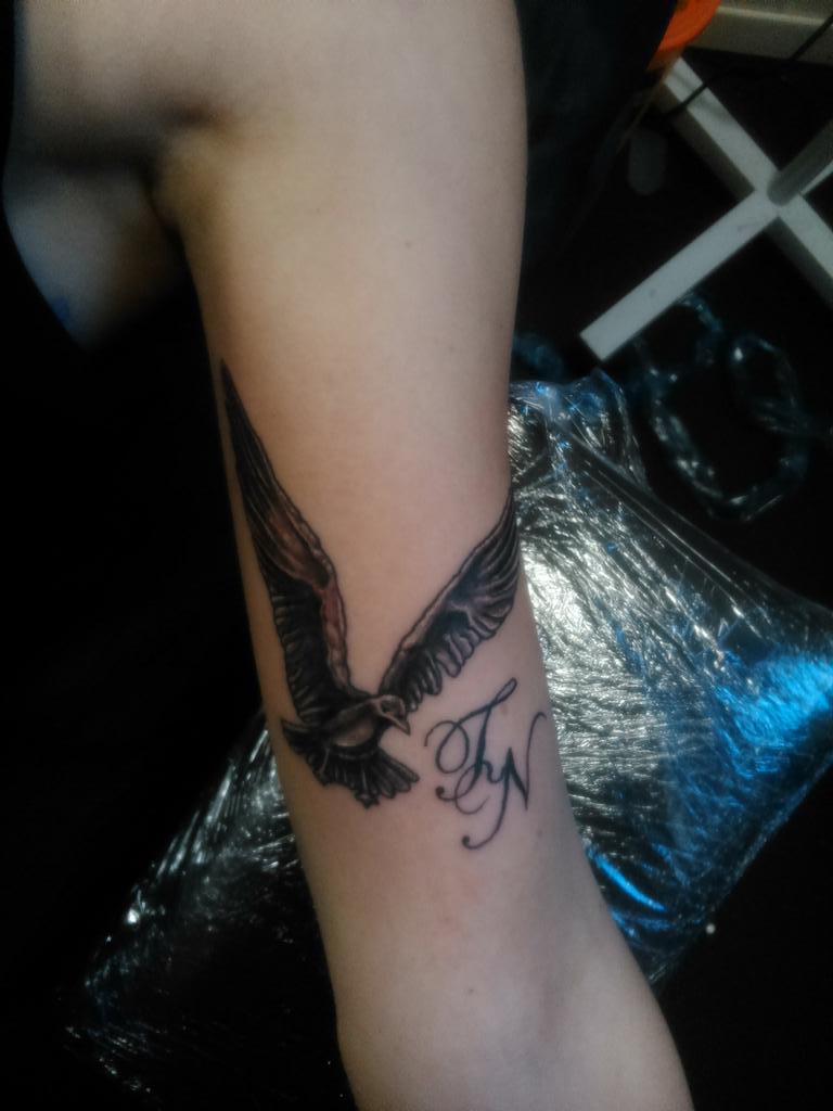 AnikaH85's tweet photo. Seagull TN http://t.co/PAZktLp2oF