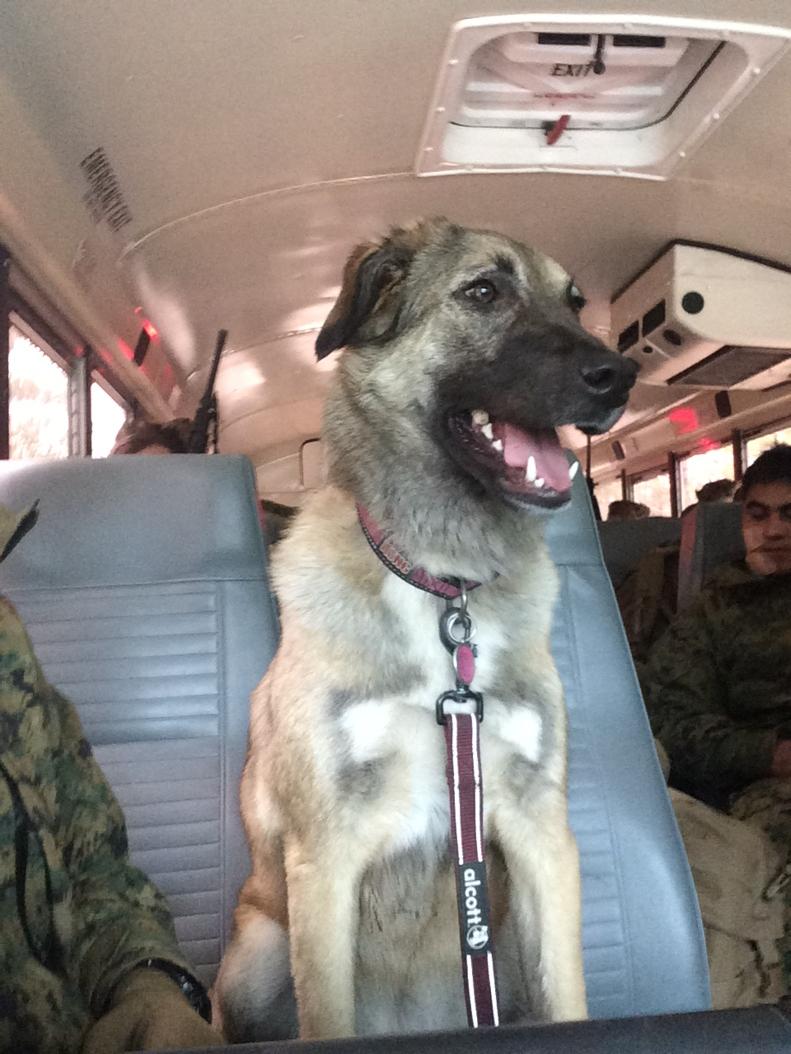 MunkieDawg's tweet image. My first bus ride #turndowntheheater #turnupthetunes