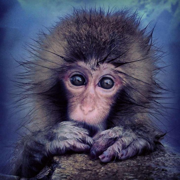 DEnterateYa's tweet photo. ¡Imágenes inéditas que muestran la belleza del mundo! http://t.co/xvs3fiEGsy http://t.co/4w4F3s6BjH