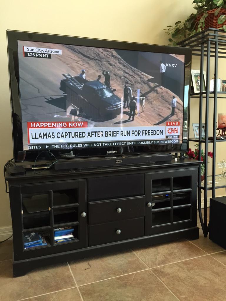 VidasWorld's tweet image. “@saveoursound: 😕 RT @MalcolmTooXtra: #FreeTheLlamas http://t.co/wOnHRGWA9f” 😩