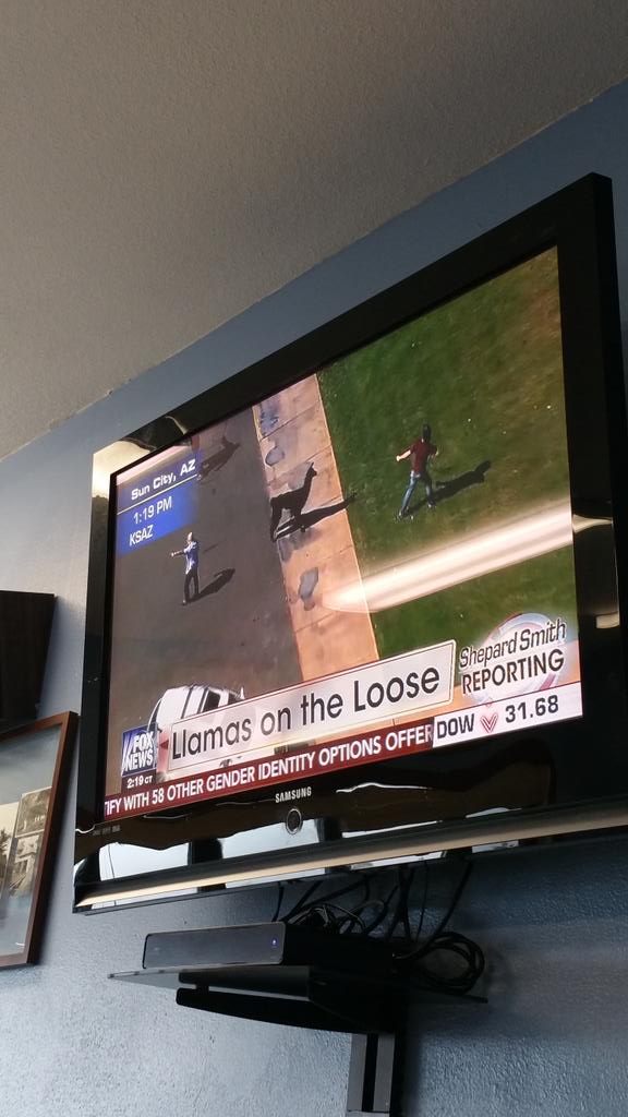 pcraig512's tweet image. @fox12oregon @USCG Station Siuslaw River had a nice lunch break. Entertainment for days. @FoxNews #FreeTheLlamas