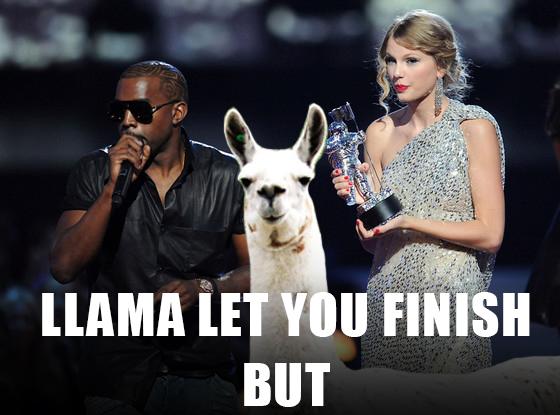 kelseyadams12's tweet image. .@AliGilbert_12 FTW. #ImportantWorkStuff #llamadrama #llamaontheloose #llamachase