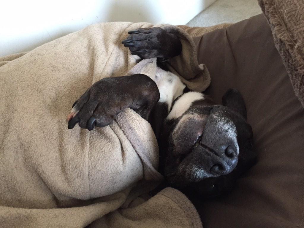 jpenecio's tweet image. @ c f  p