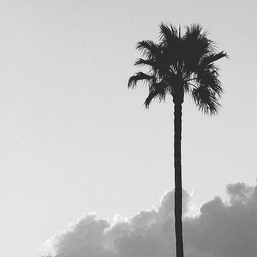 mdnchnv's tweet photo. Summer🌴 http://t.co/0syQCG4GoM