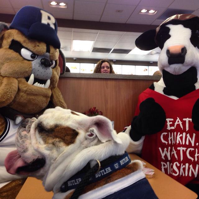 ButlerBlue3's tweet photo. Stop me if you've heard this one...so two #bulldogs and a cow walk into a @ChickfilA... #ButlerNight #GoDawgs http://t.co/MoVZY7A2fo