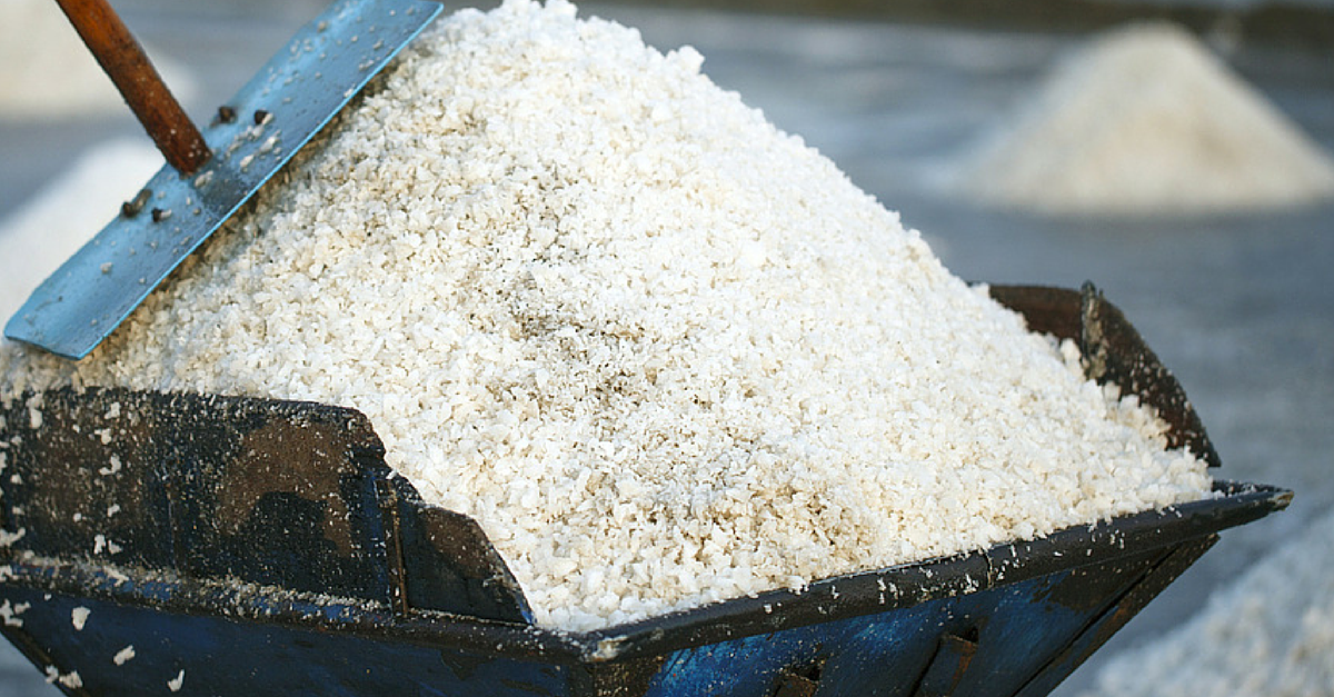 PetMD's tweet image. Did you know that the rock salt used in streets can irritate your #pet's #paws? buff.ly/1FVh9kM #askpetmd