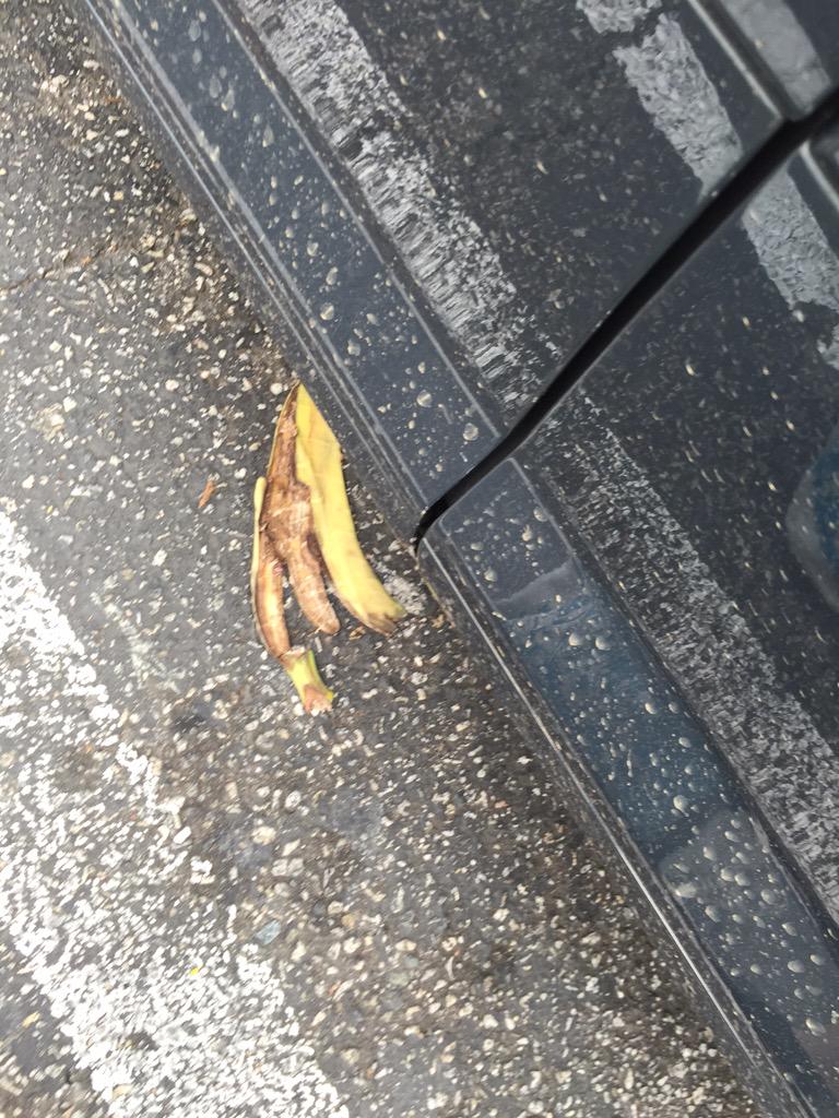 janetvarney's tweet photo. Yes, yes, I did just slip getting out of my car... on this BANANA PEEL. http://t.co/Z7S2fWxDny