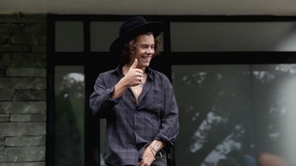 bestpicsofharry's tweet image. goodbye cruel world