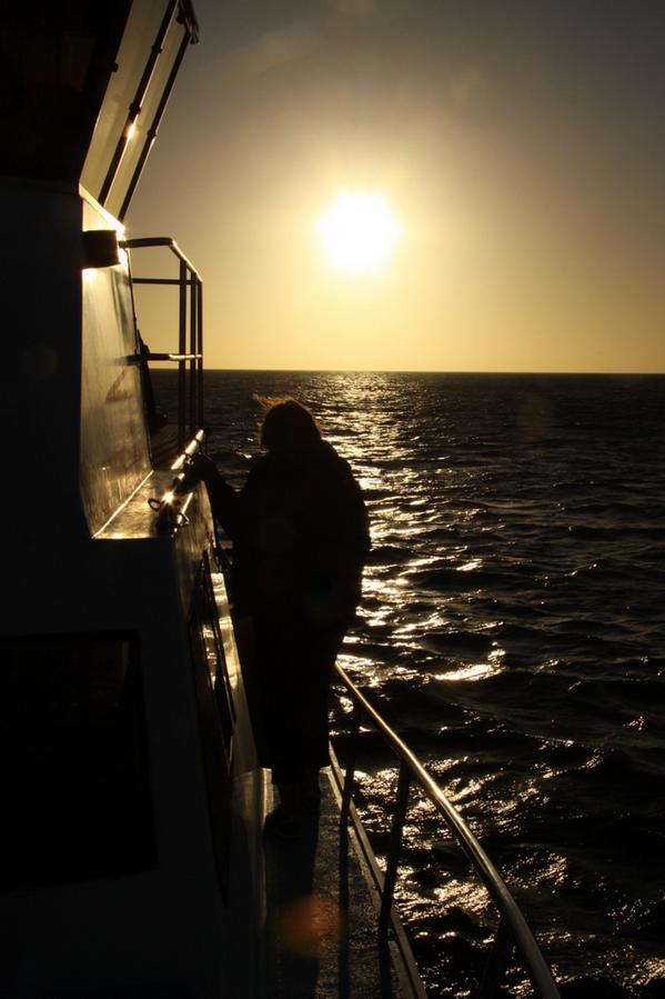 WhaleWatchingSA's tweet photo. Some photos taken by the Ivanhoe Sea Safaris Crew @WhaleWatchingSA http://t.co/XzQQALg0sX