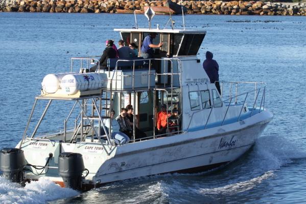 WhaleWatchingSA's tweet photo. Photos by @WhaleWatchingSA http://t.co/yddcH1yKDL