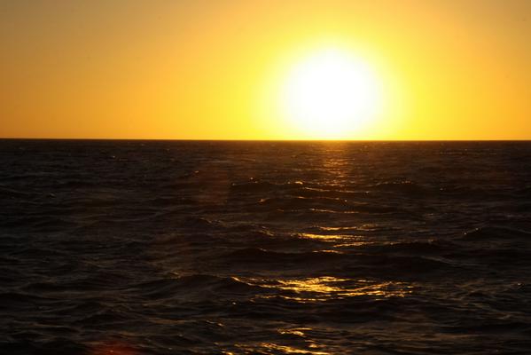 WhaleWatchingSA's tweet photo. Photos by @WhaleWatchingSA http://t.co/yddcH1yKDL