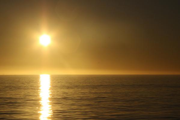 WhaleWatchingSA's tweet photo. http://t.co/VqNESoSiC8