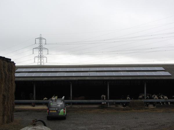 <a href="/TenterHouseFarm/">Snowden Hill Buffalo</a> turns to the sun to produce locally reared Water Buffalo meat. Read more here bit.ly/10viXQ3