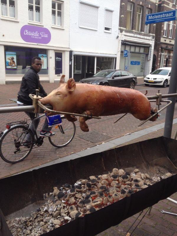 Wie kijkt wie aan ! Lekkerder als marsepein !