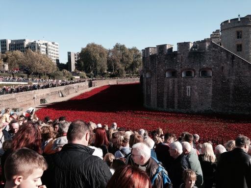 WagtailStorage's tweet photo. Wonderful to see the poppies at the Tower of London today. Incredible crowds! http://t.co/dEnm2OnsyK