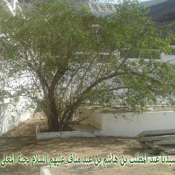 Athar_Nabawiya's tweet photo. قبة سيدنا عبدالمطلب بن هاشم في جنة المعلاة ب #مكة بين الماضي والحاضر

#آثار_نبوية #نشر_محبته http://t.co/O0WA28Xom3