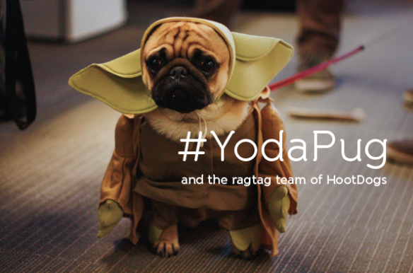 hootsuite's tweet photo. It's Monday; if you need a bit of a pick me up check out some of these furry little dudes: http://t.co/kcqvKqTlN0 http://t.co/FhzGoTQJVL