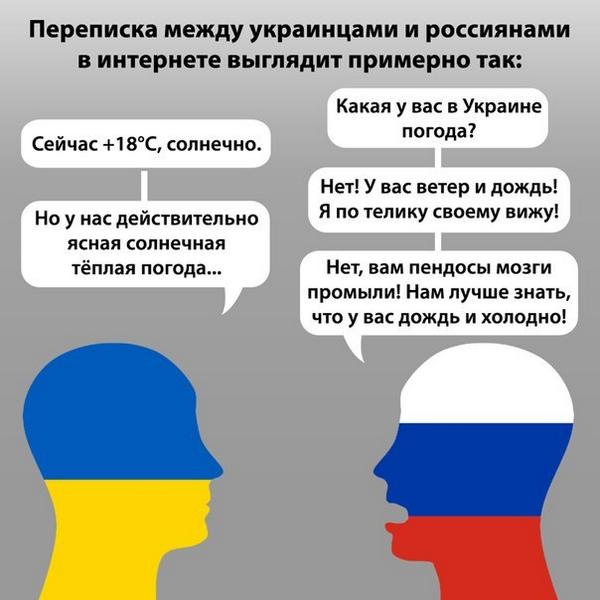 https://pbs.twimg.com/media/B0-hjs-IYAErvJQ.jpg