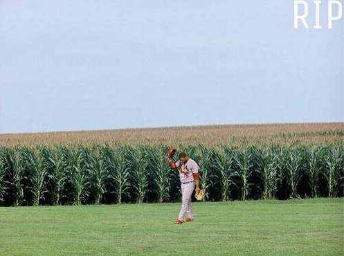 MLBMeme tweet picture