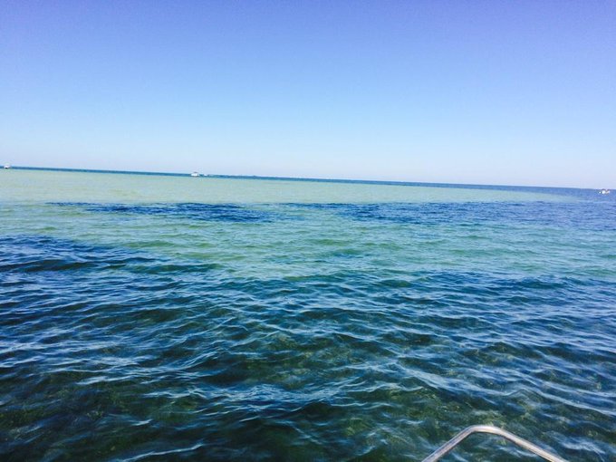 That water tho🙌😁😍☺️💖 amazing! http://t.co/ysDW5fznfu