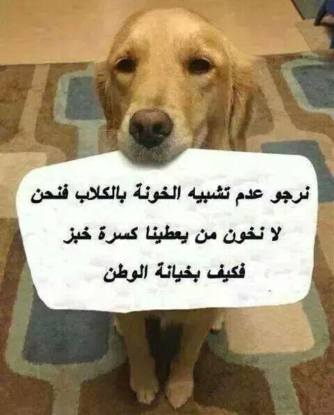 Banseh Mahmoud tweet media
