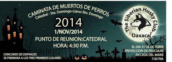 ClubHuskyOax's tweet photo. Tenemos una cita el día 1 de nov. Primera comparsa siberiana y concurso posterior. Abra premios y diversión #Oaxaca http://t.co/OTAmuk8LZ8