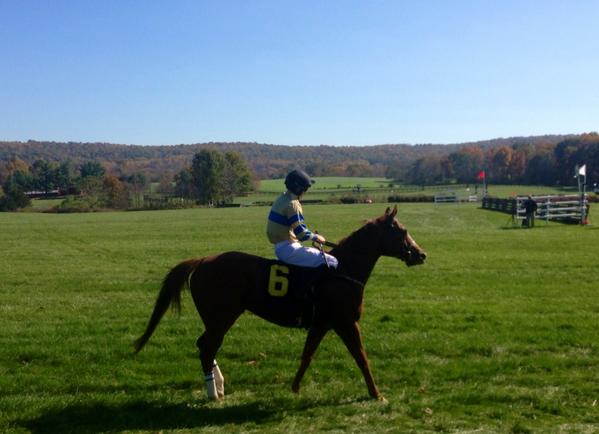 cityandsand's tweet photo. Blue sky, warm sunshine, bright leaves & beautiful horses @vagoldcup @GreatMeadowVA #vagoldcup #IGC2014 http://t.co/TWqW0VyqDA